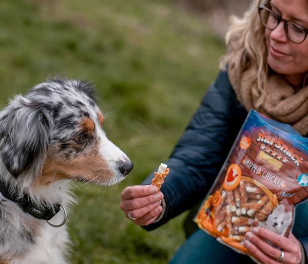 Nobby® Hundesnack StarSnack Barbecue Mini