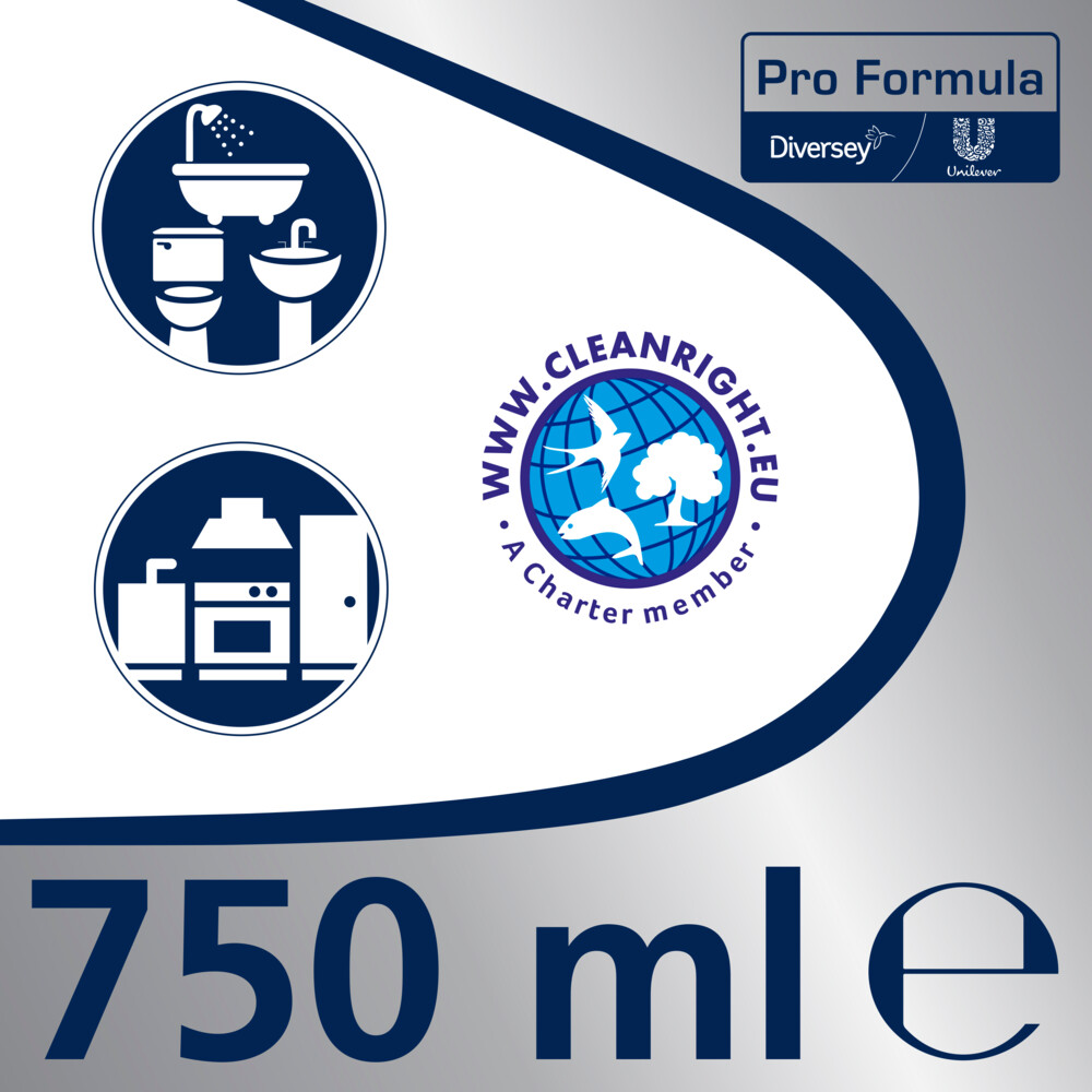 Glorix Professional Voegenreiniger Pro Formula750 ml