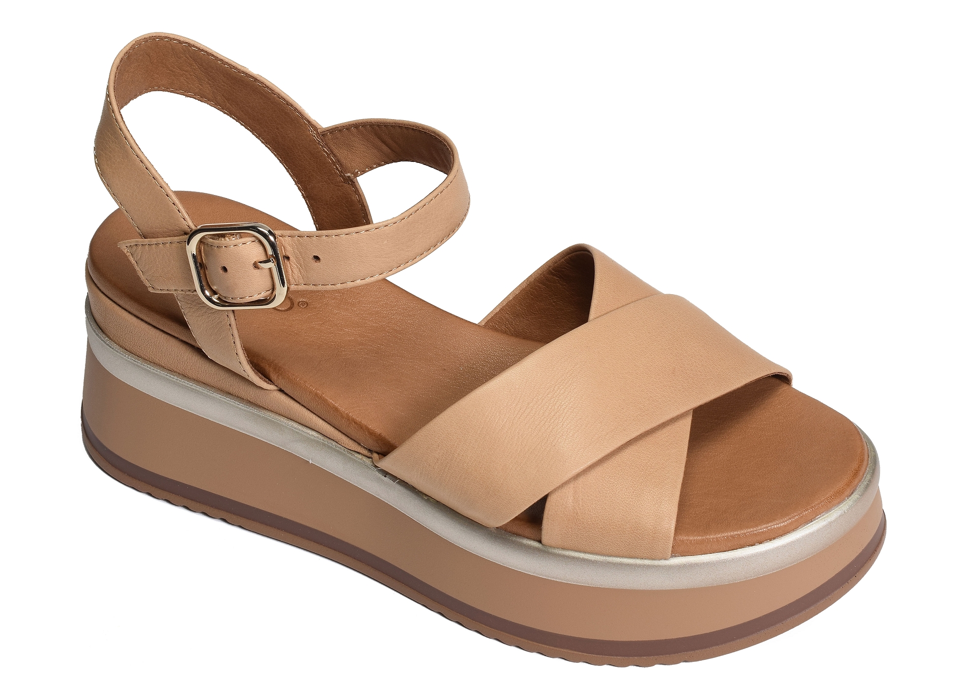 A98008 camel