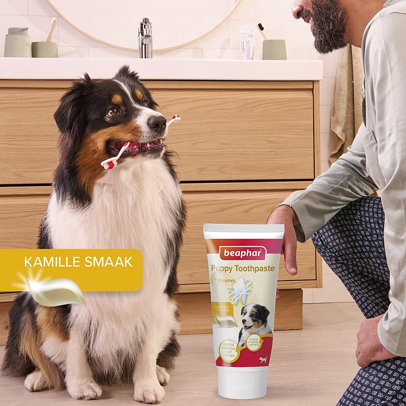 Beaphar Combi-Pack Puppy Tandpasta & Borstel | 13796