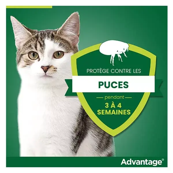 Advantage Solução Antipulgas para Gatos e Coelhos +4kg 4 pipetas