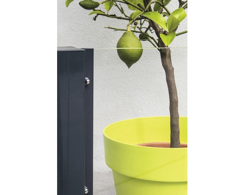 Hoofdelement Vidrio helder glas 120 x 120 cm