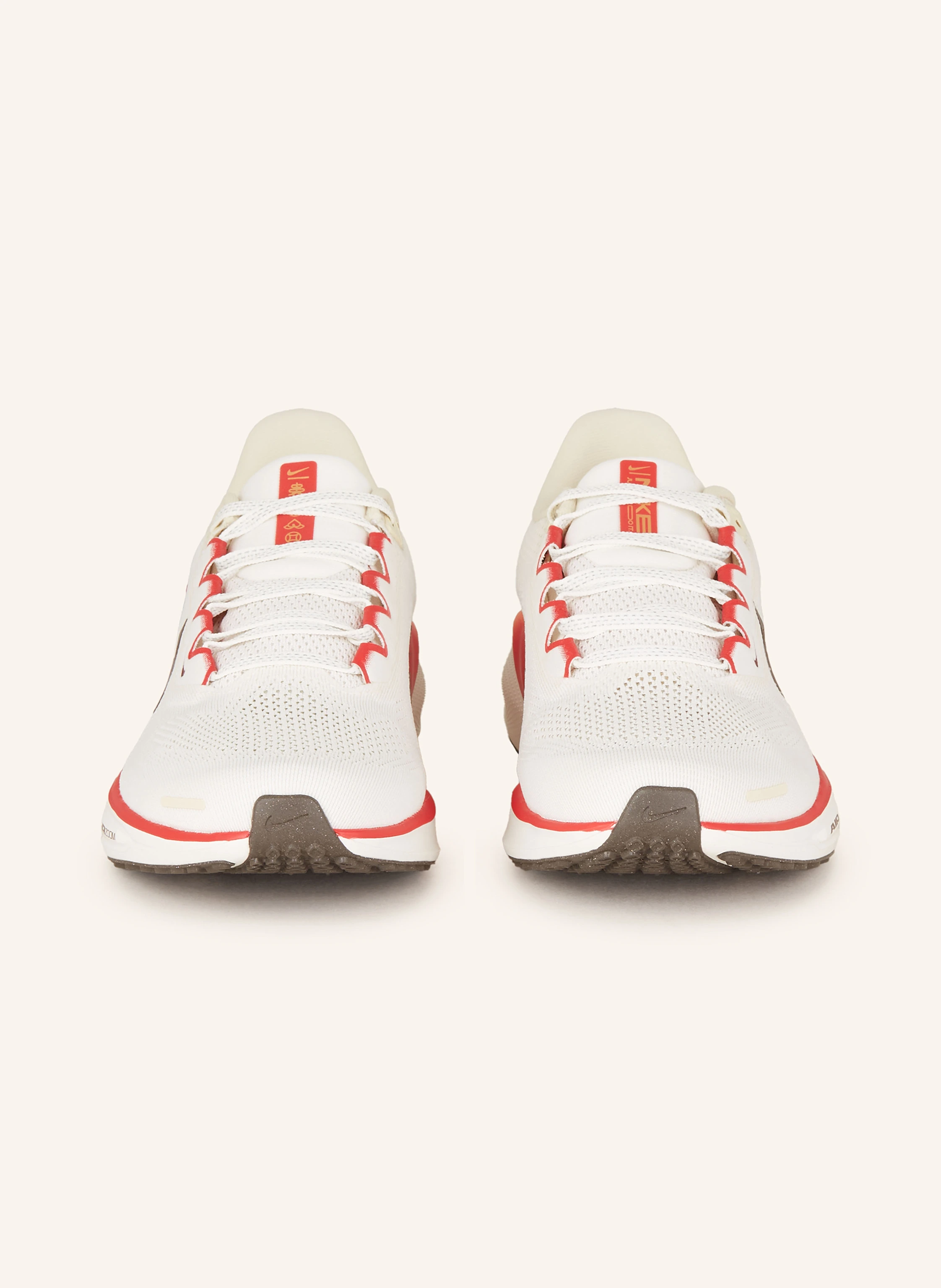 Nike Laufschuhe PEGASUS 41