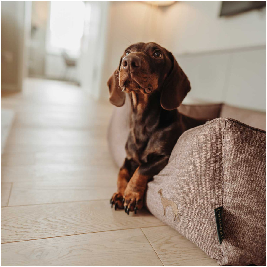 Cama para cães Hunter Boston Cozy Brown