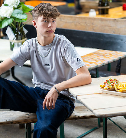 Hound T-shirt - Light Grey