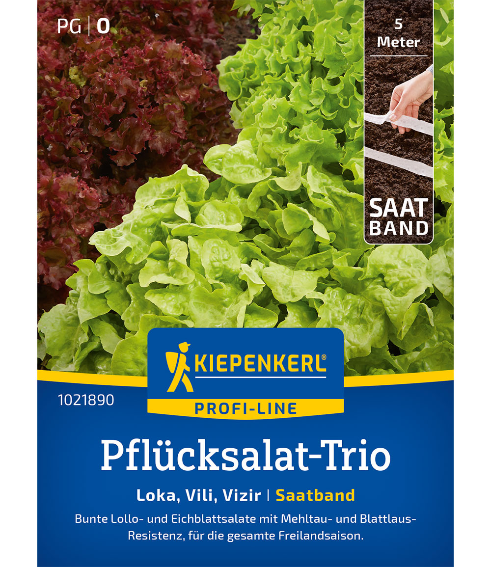 Pflücksalat-Trio Saatband