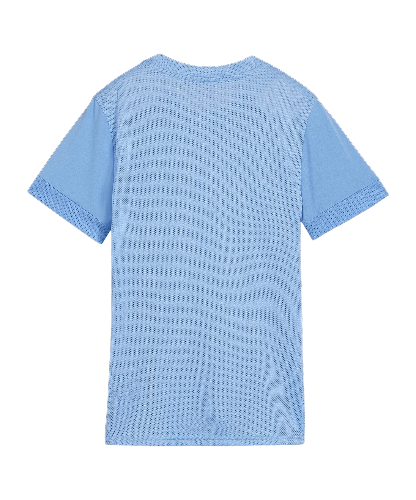 PUMA teamGOAL Matchday Trikot Damen Blau Weiss F18