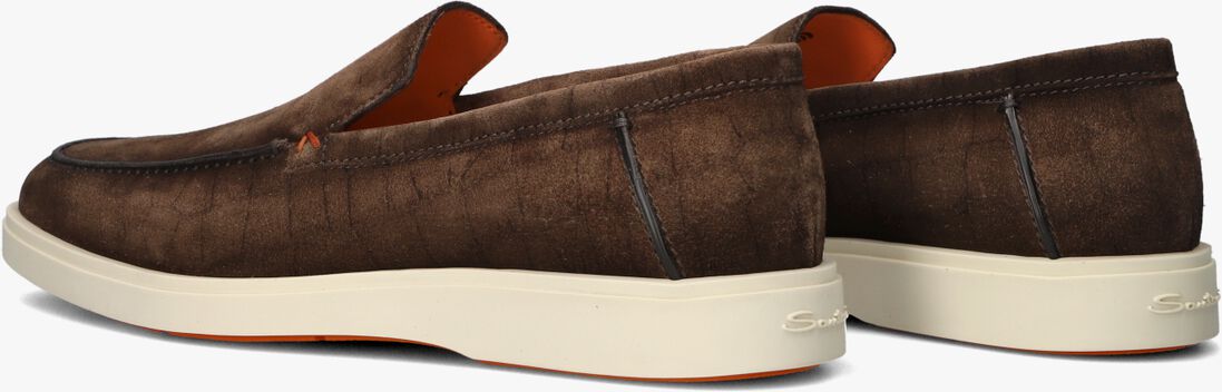bruine santoni instappers botanist
