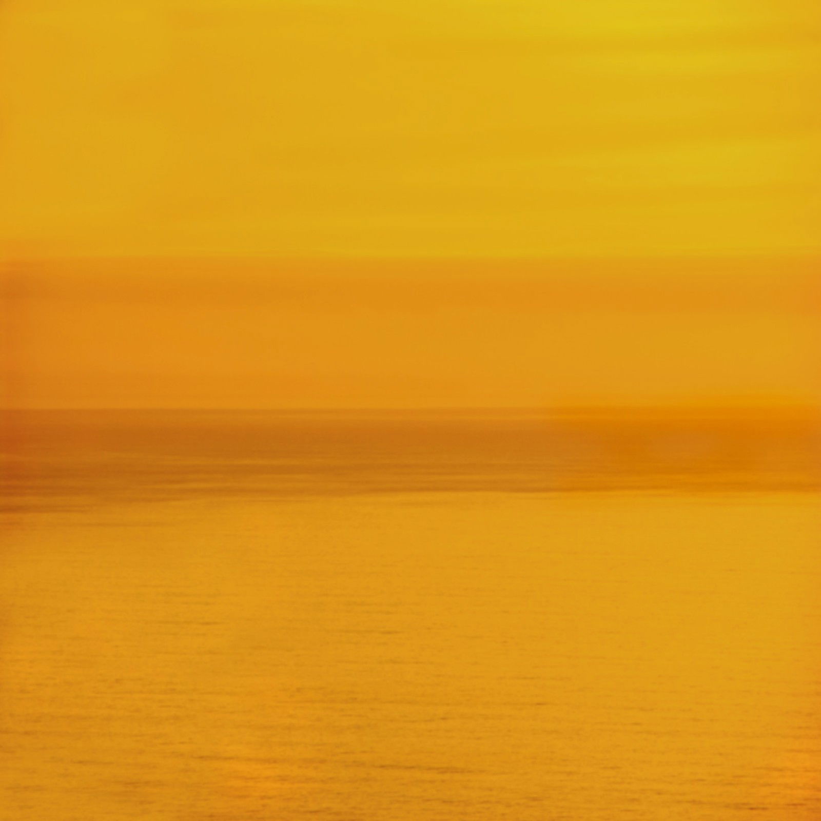 Wave 1248 by Douglas Busch - Limited Edition. Edition of: 100. Signed.