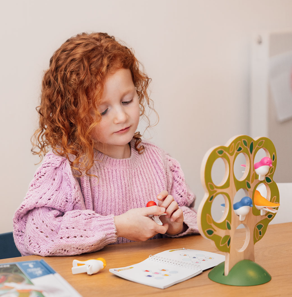 Smart games SmartGames 5 Little Birds