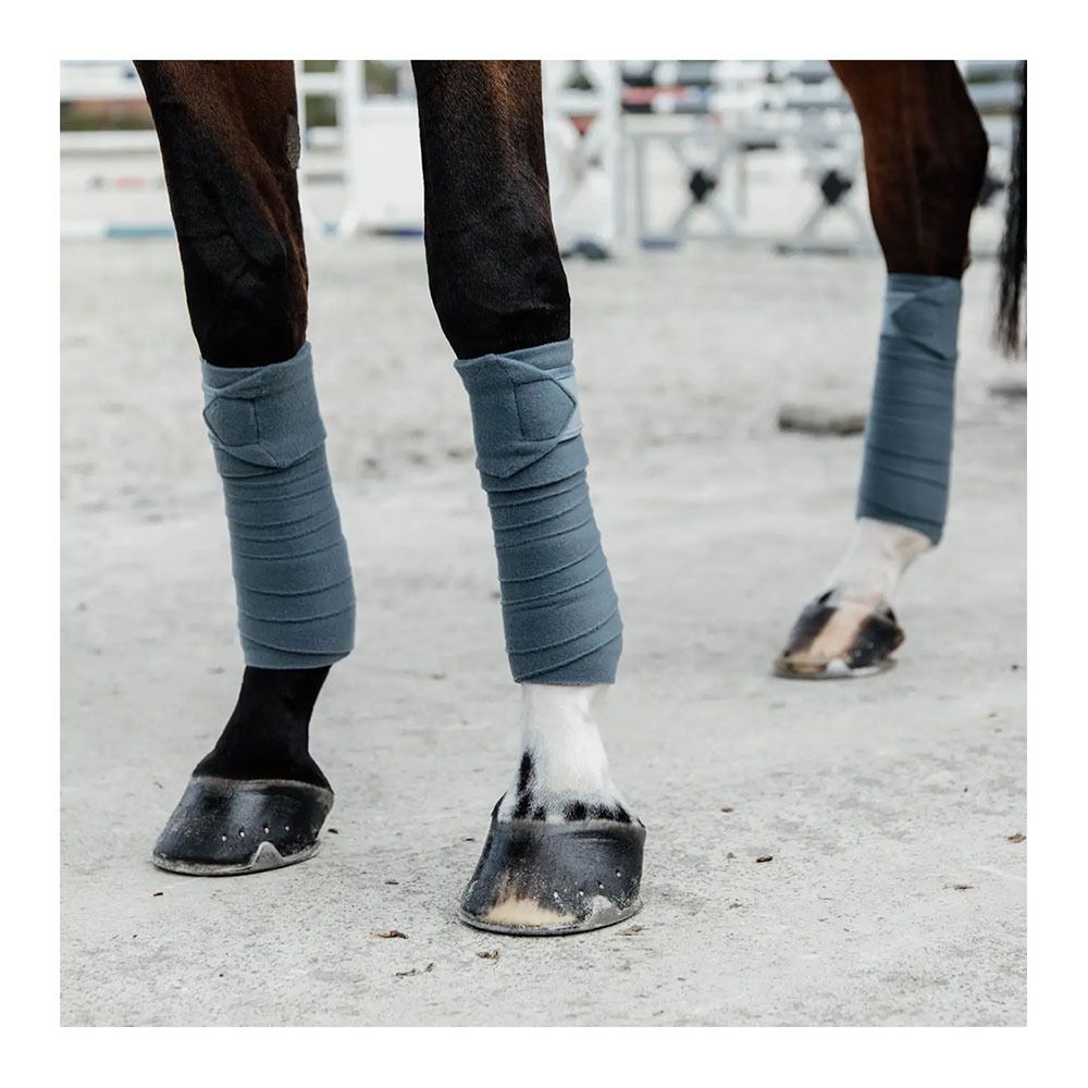 Kentucky POLAR FLEECE - Bandes de polo x4 bleu clair
