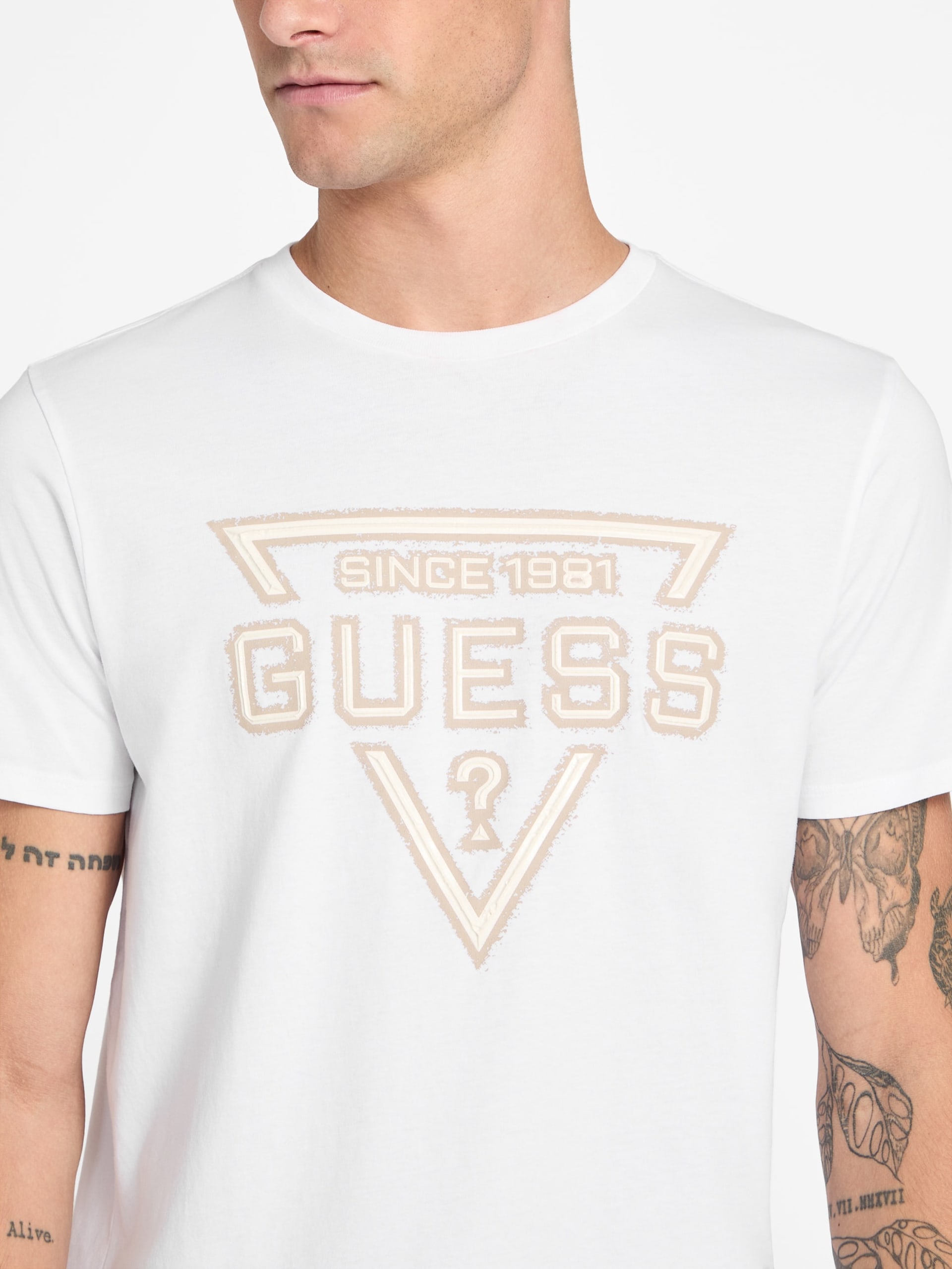 Camiseta Eco Painted Triangle