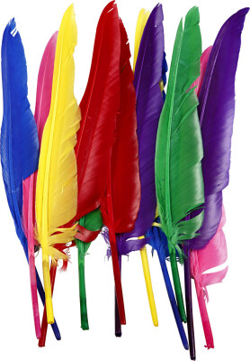 Fjer - L 27 CM - Forskellige Farver - 12 Stk