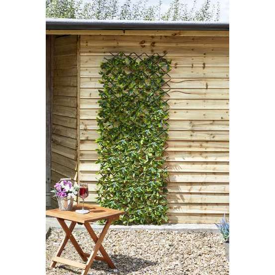 Treillis Citronnier 180 x 60 cm