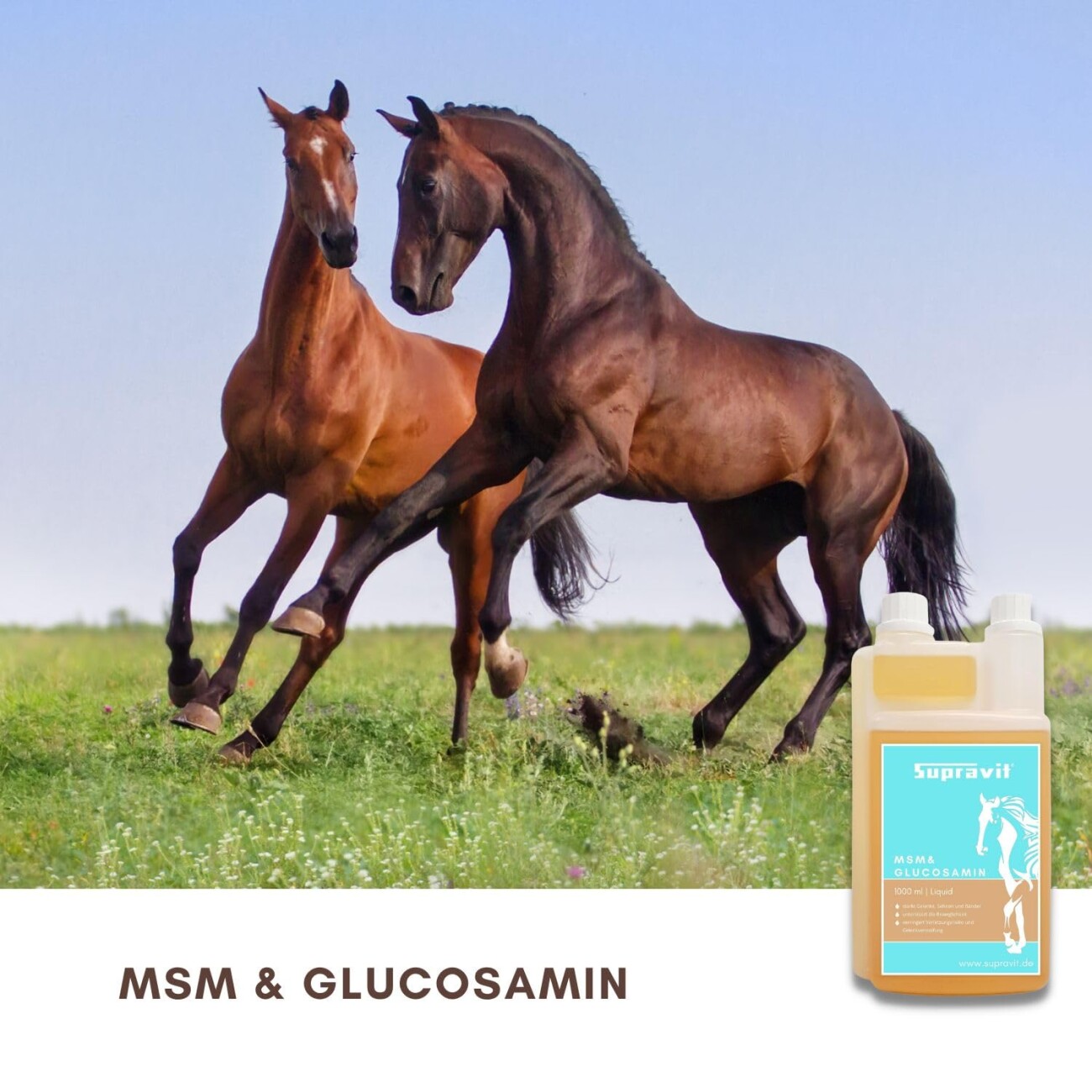 Supravit MSM und Glucosamin Pferd 1000ml