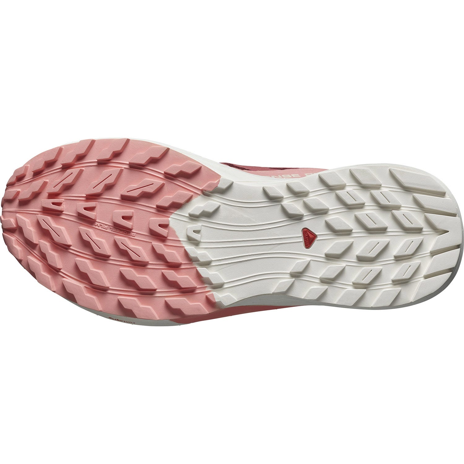Salomon  Sense Ride 5 Gore-Tex Dames