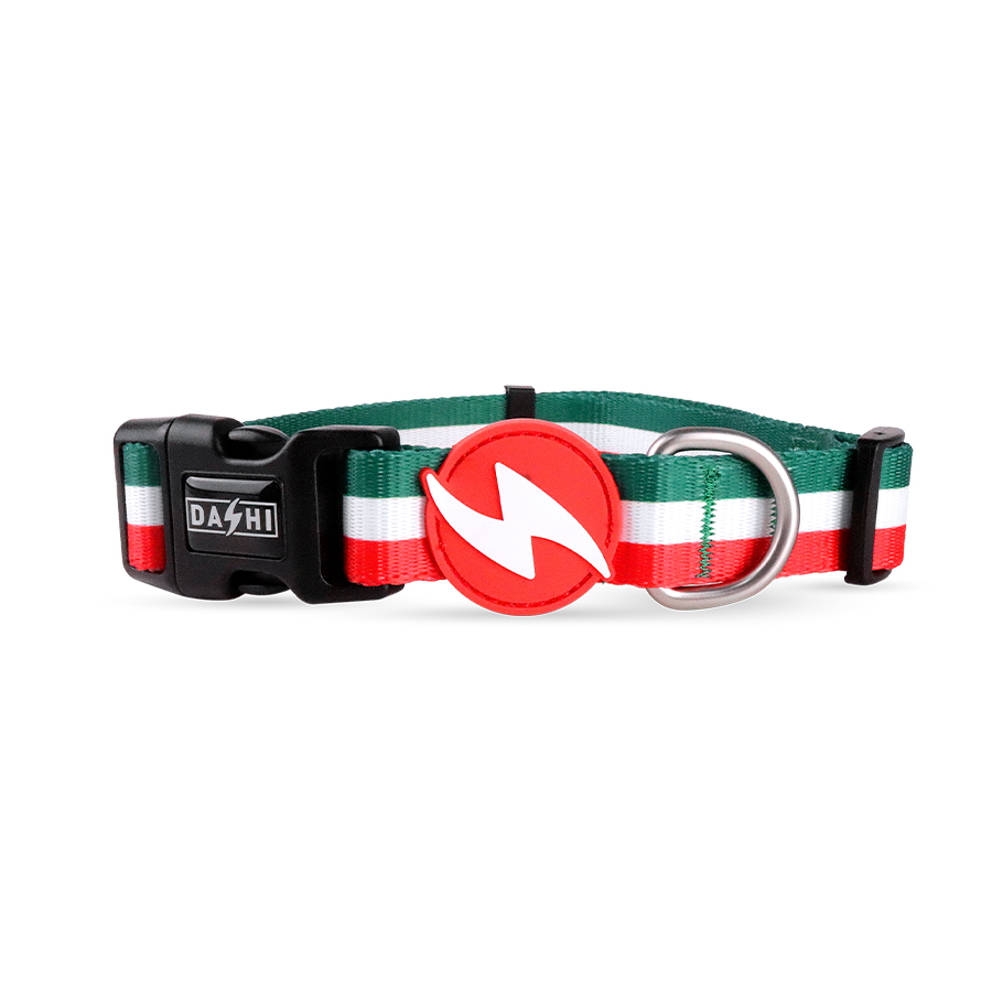 Coleira listrada em verde e vermelho para cães de grande porte.