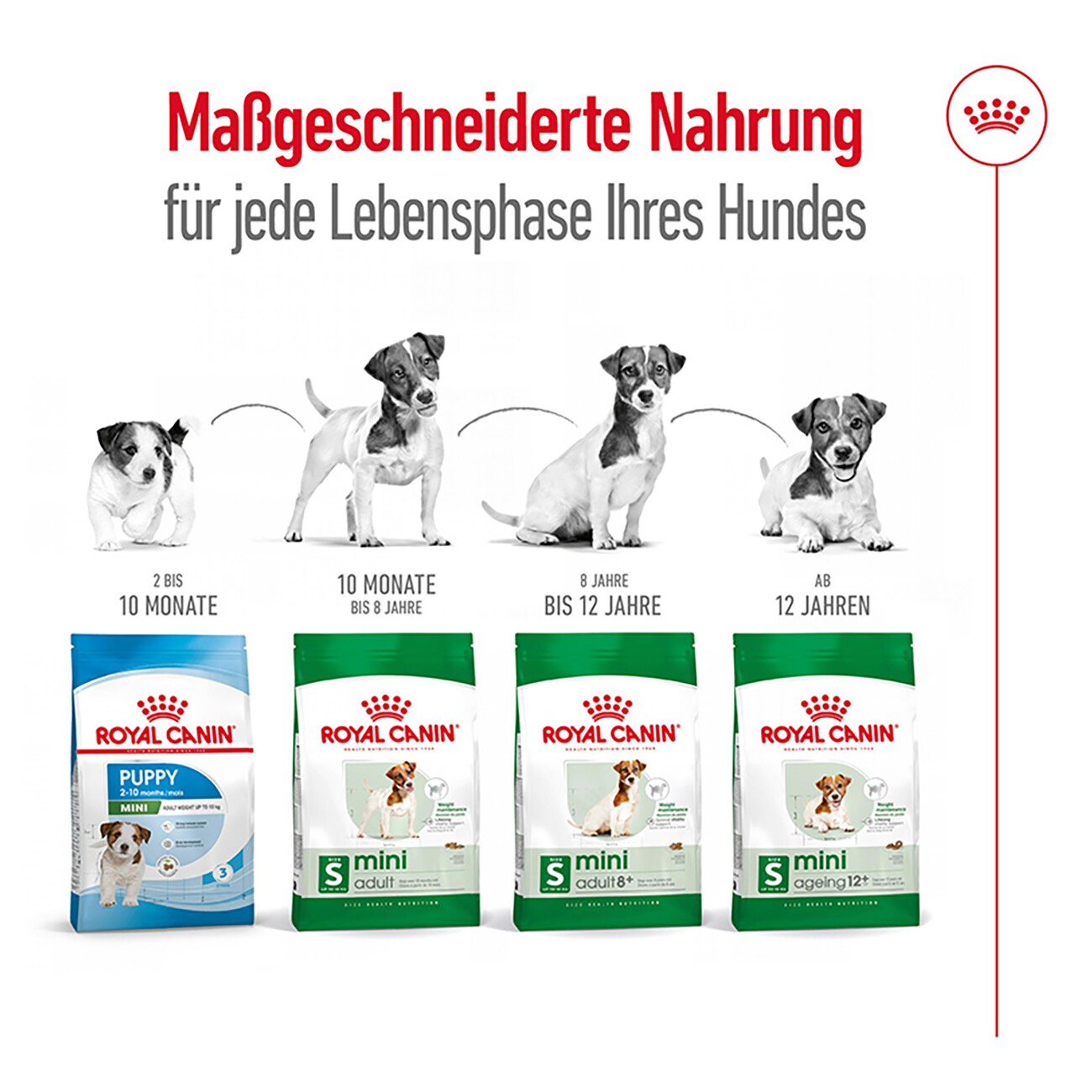 ROYAL CANIN Mini Ageing 12+ 1,5 kg