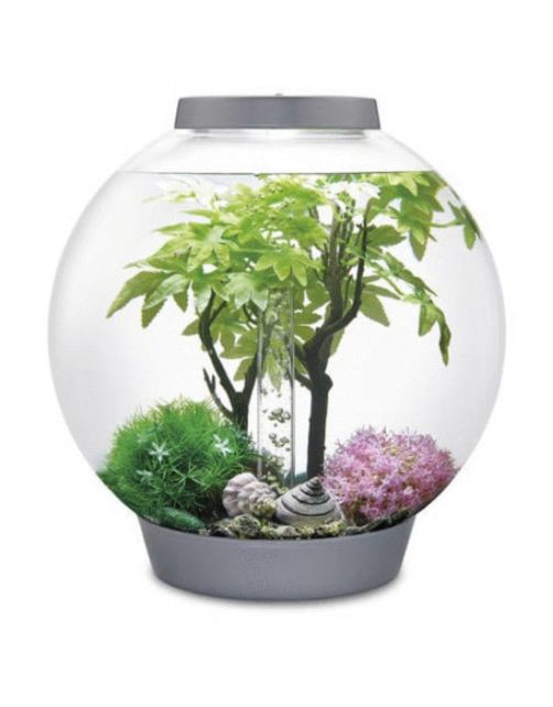 Biorb Decor Set Zomer - Aquarium - Ornament - 30 l Groen Lichtroze Beige