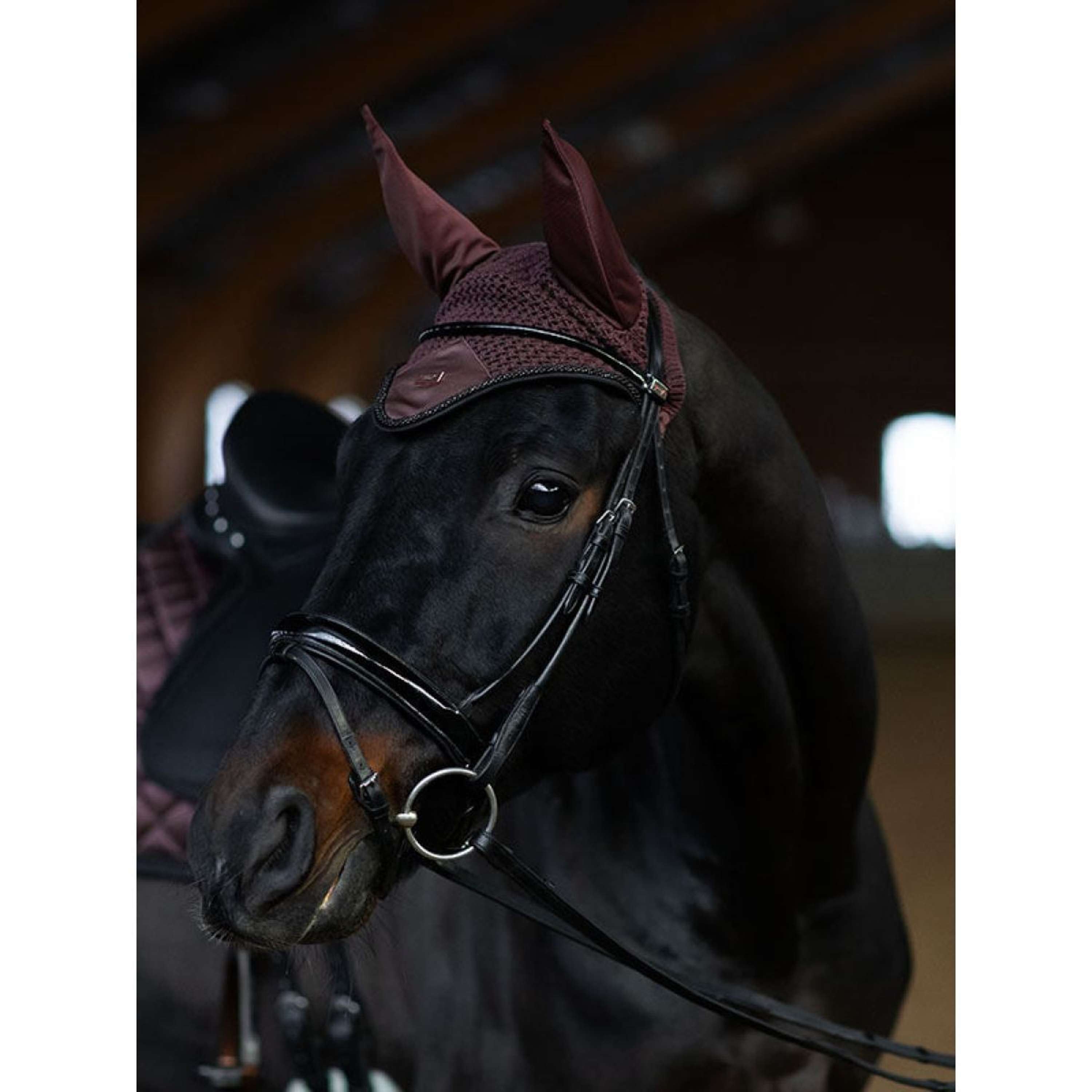 Equestrian Stockholm Oornetje Endless Glow