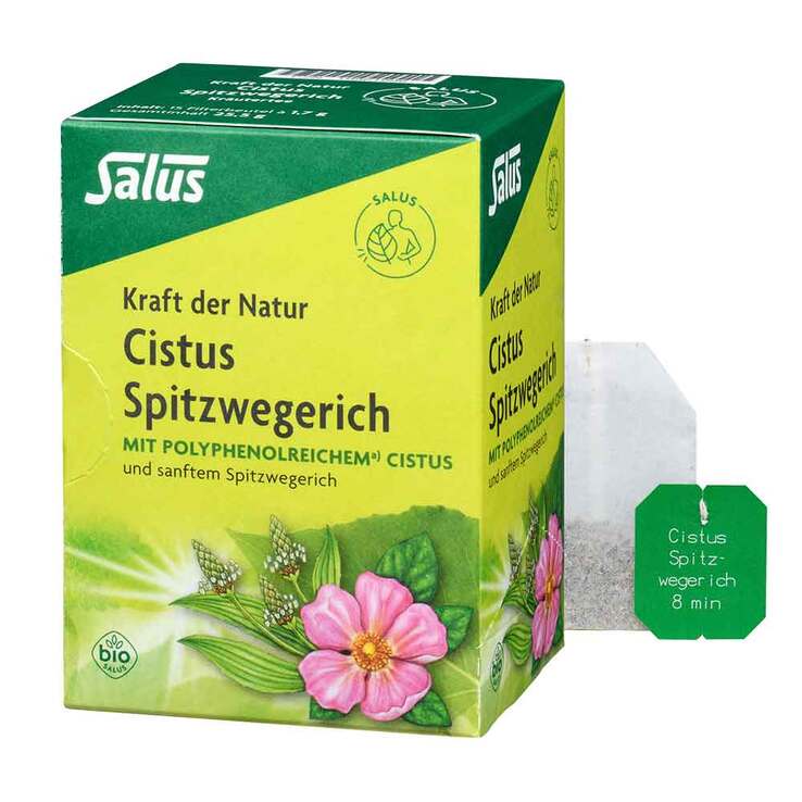 Cistus Spitzwegerich Tee Bio Filterbeutel, 15 St