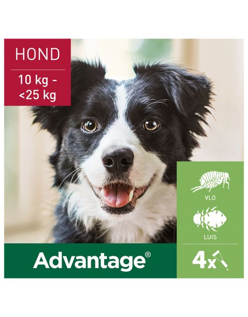 Advantage Hond 4 pip - Anti vlooien en luizenmiddel