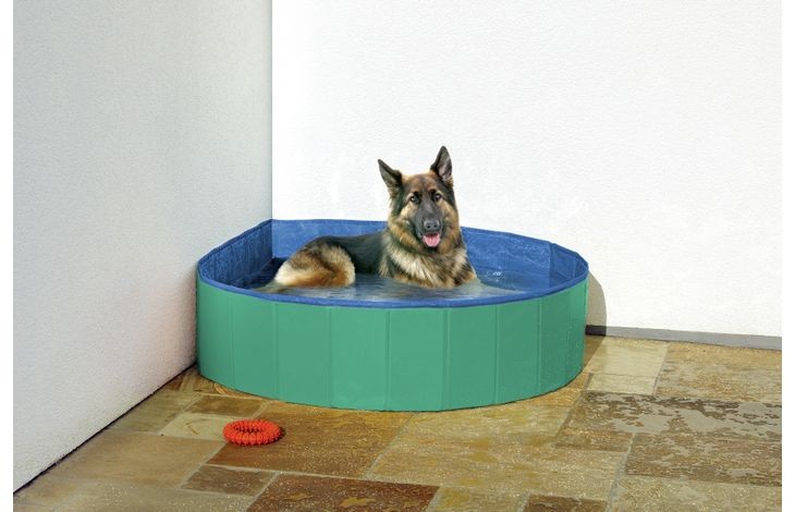 Flamingo - Doggy Splash Pool Green/Blue L 160X30CM - (540058500219)