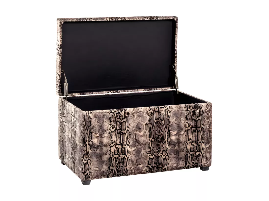Coffre de Rangement 