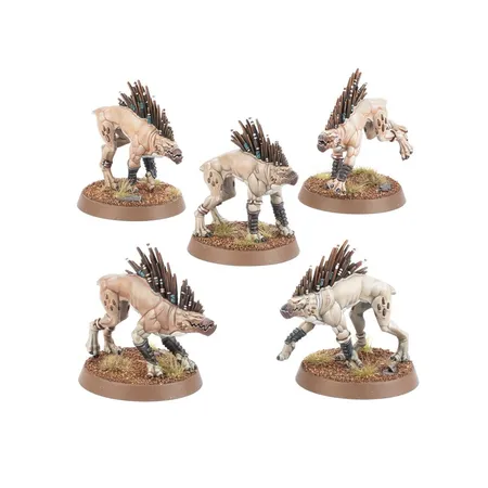 Games Workshop Warhammer 40K Tau Empire Kroothunde