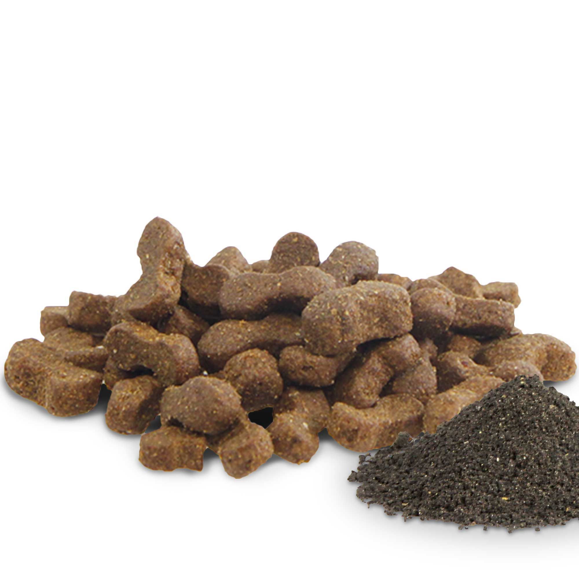 Schecker Hundesnack - hochwertiger Schwarzkümmel Snack