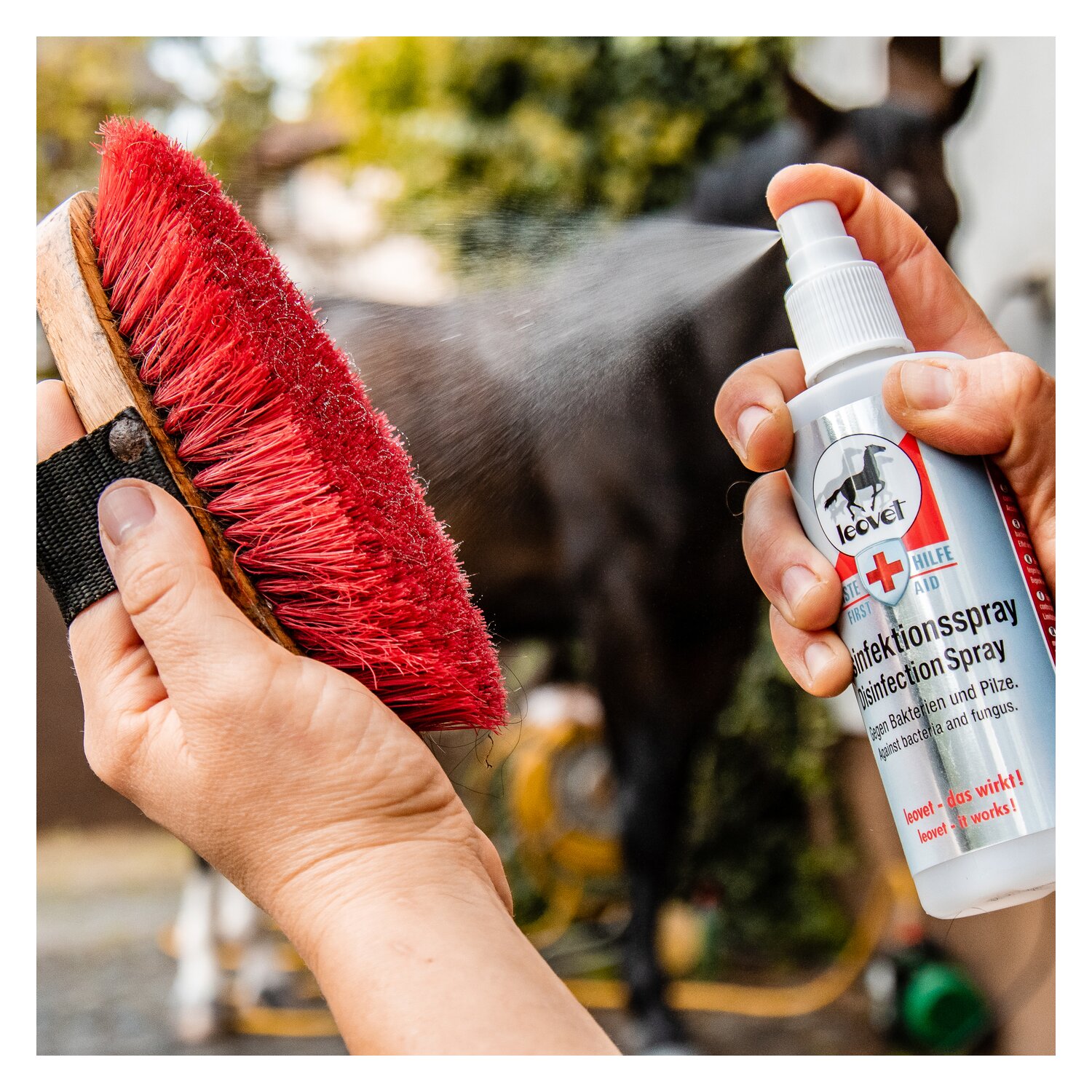 leovet Desinfektionsspray  - 200 ml