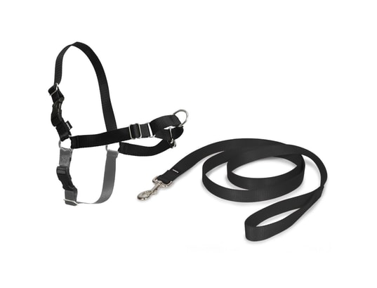 PETSAFE - Harnais de sécurité enfant Harnais pour chiens easy walk s noir