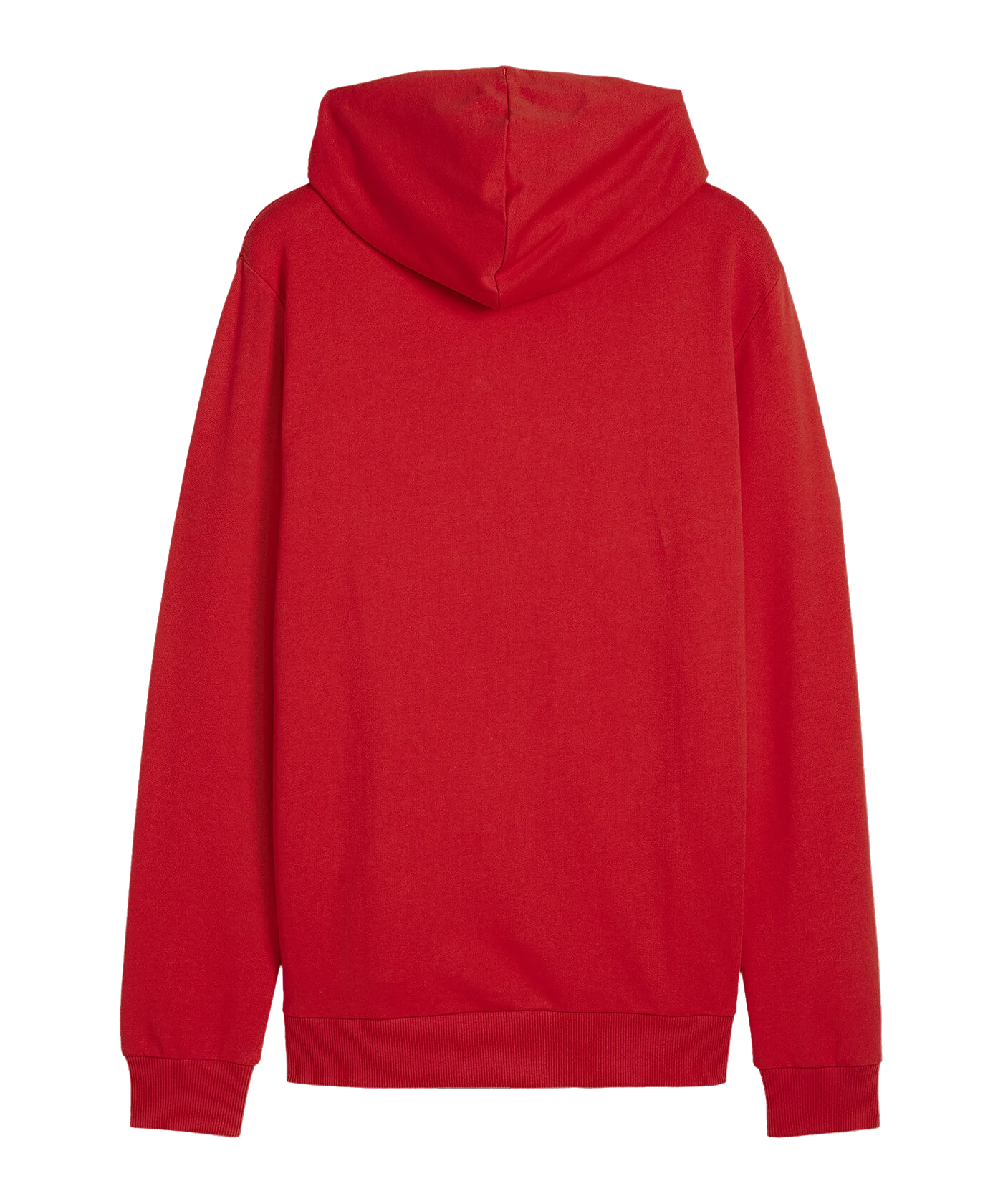 PUMA teamGOAL Casuals Hoody Rot F01