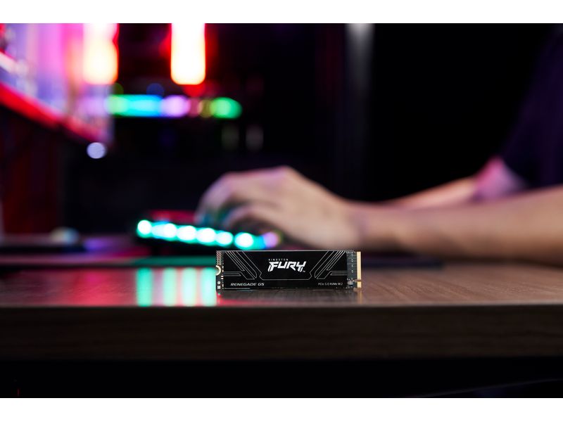 Kingston SSD FURY Renegade M.2 2280, NVMe M.2 NVMe 1024 GB Interne Gaming Solid-State-Drive mit Heatsink und 1024 GB