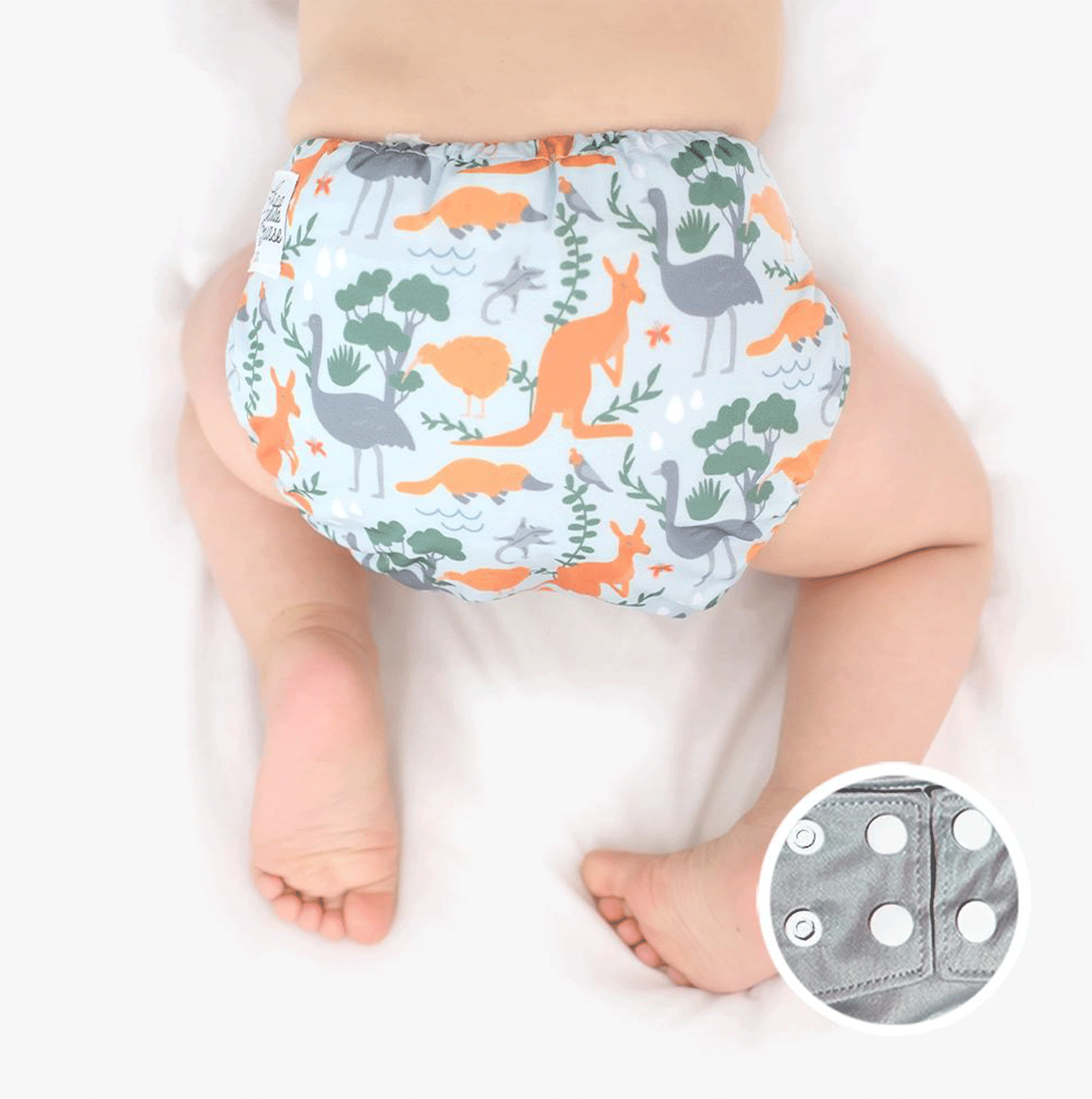 La Petite Ourse Couche Lavable 10-35lb - Australie