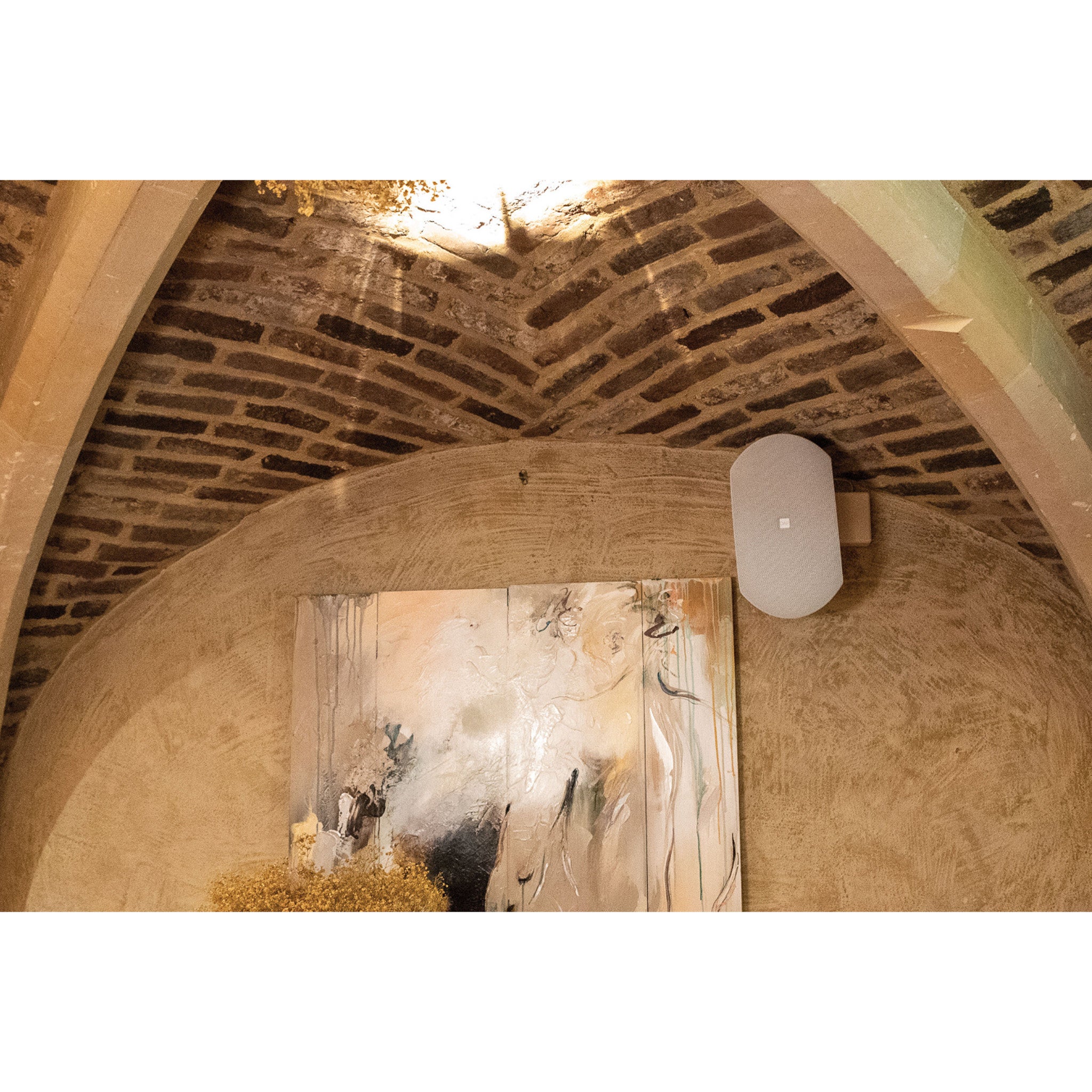 DAP WMS4T-W passieve 4 inch opbouw luidspreker 100 V, wit