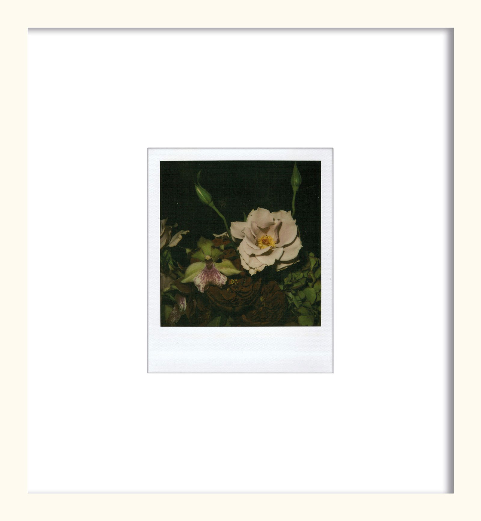 Flower by Nobuyoshi Araki - Unique Artwork