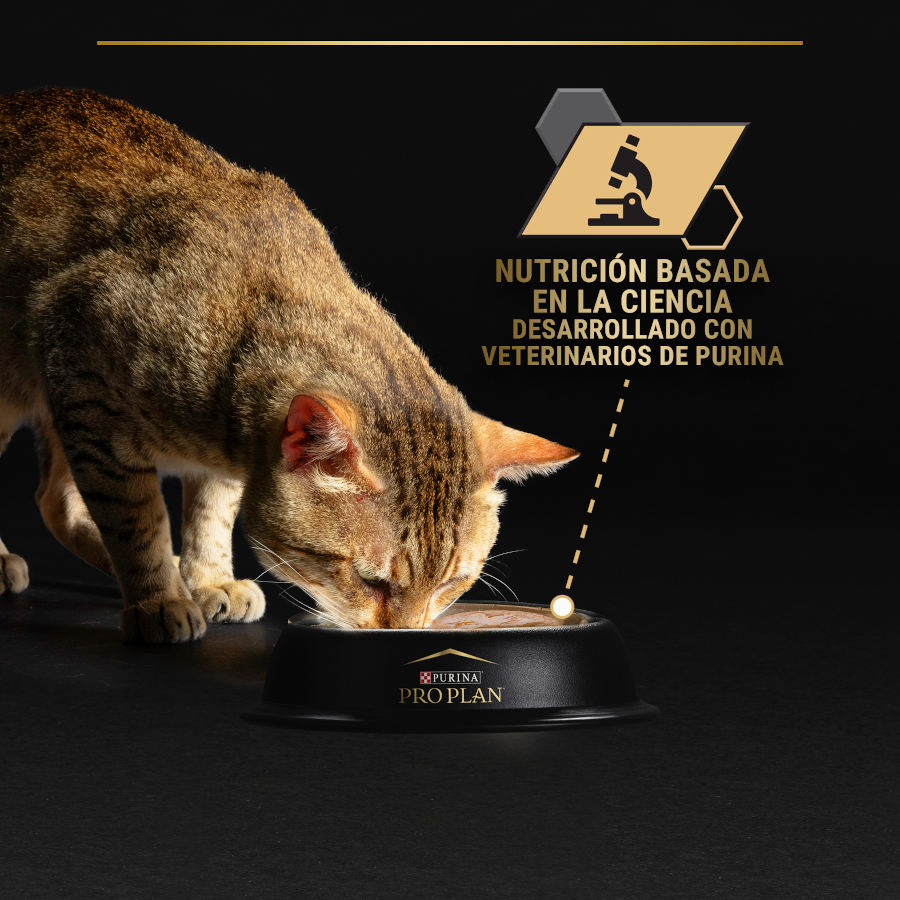 Pro Plan Senior 7+ LONGEVIS Mousse con atún para gatos