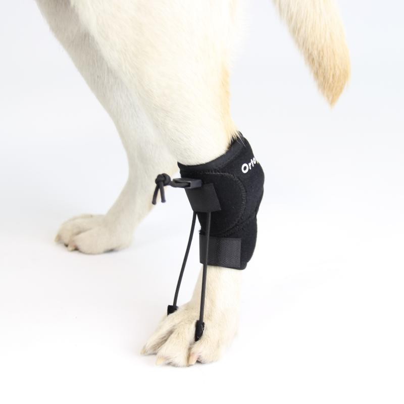 Corretor proprioceptivo