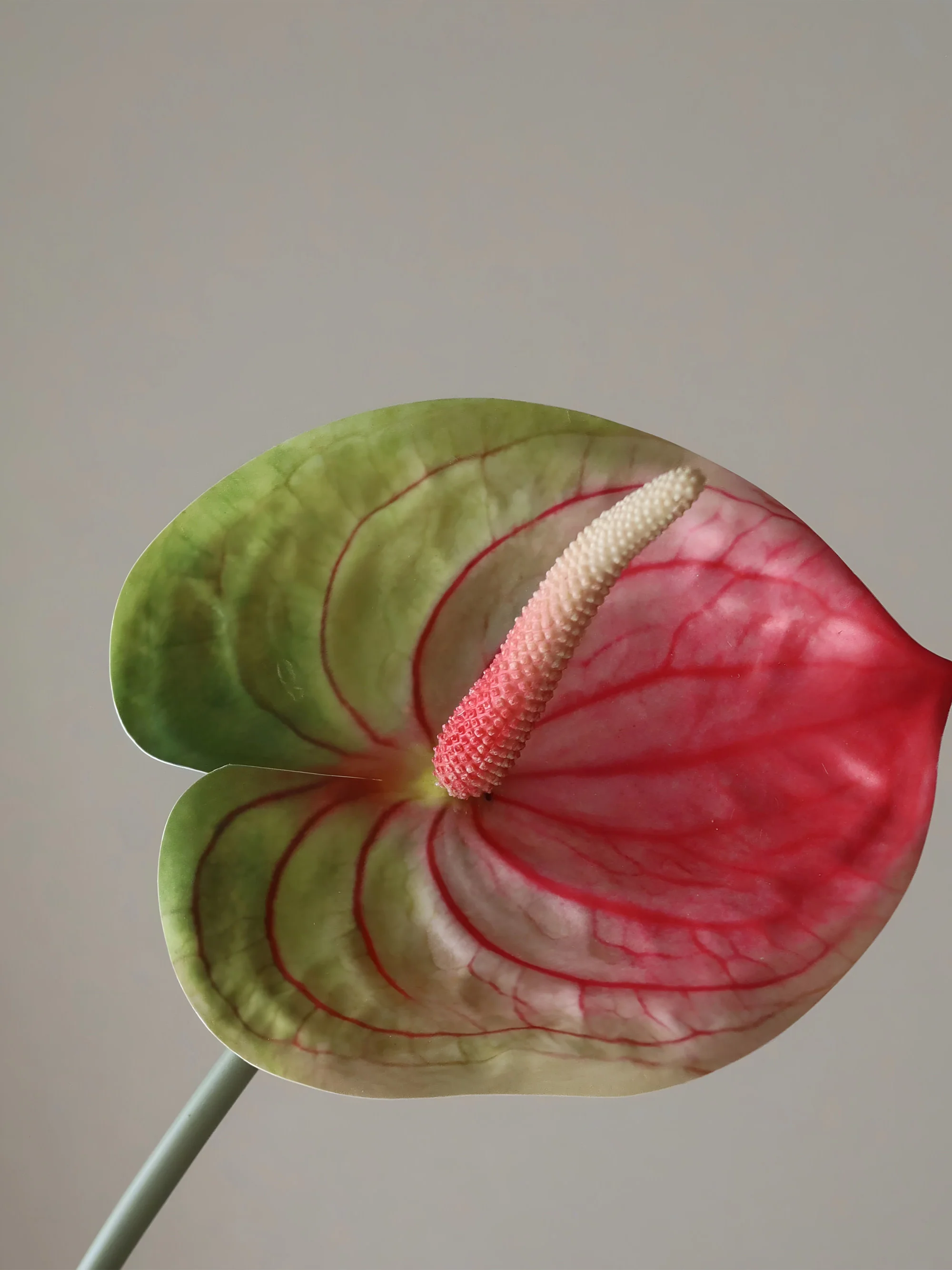 Kunstbloem Anthurium