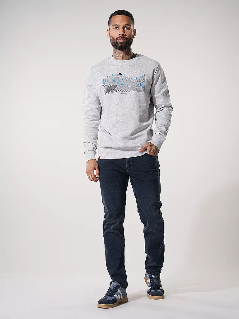 GREENBOMB Sweater WILD ANIMAL BEARLAND grau
