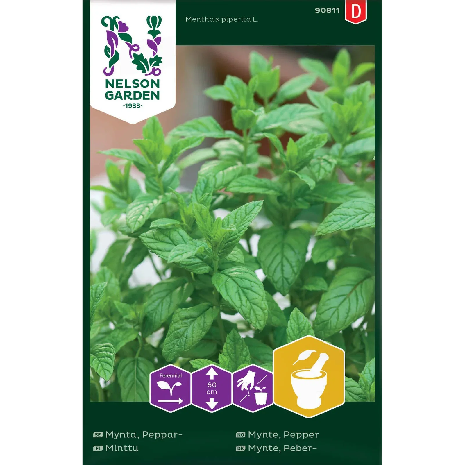 Mentha x piperita Peppermynte