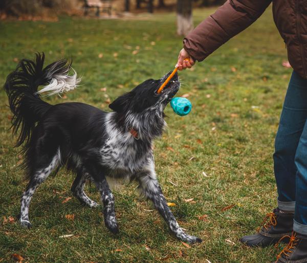 RUFFWEAR® Hundespielzeug Huck-a-Cone™, ca.