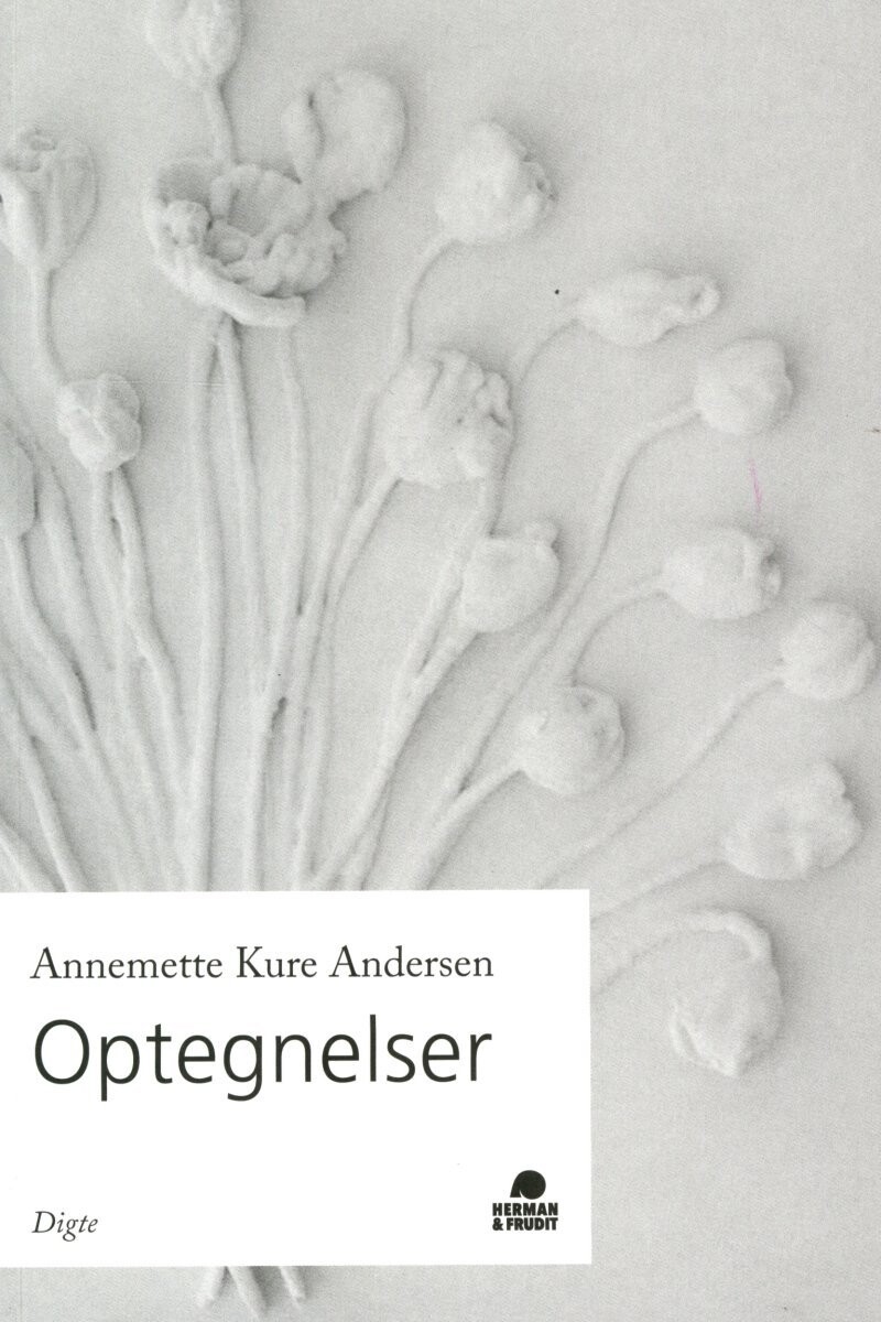 Optegnelser - Annemette Kure Andersen - Bog