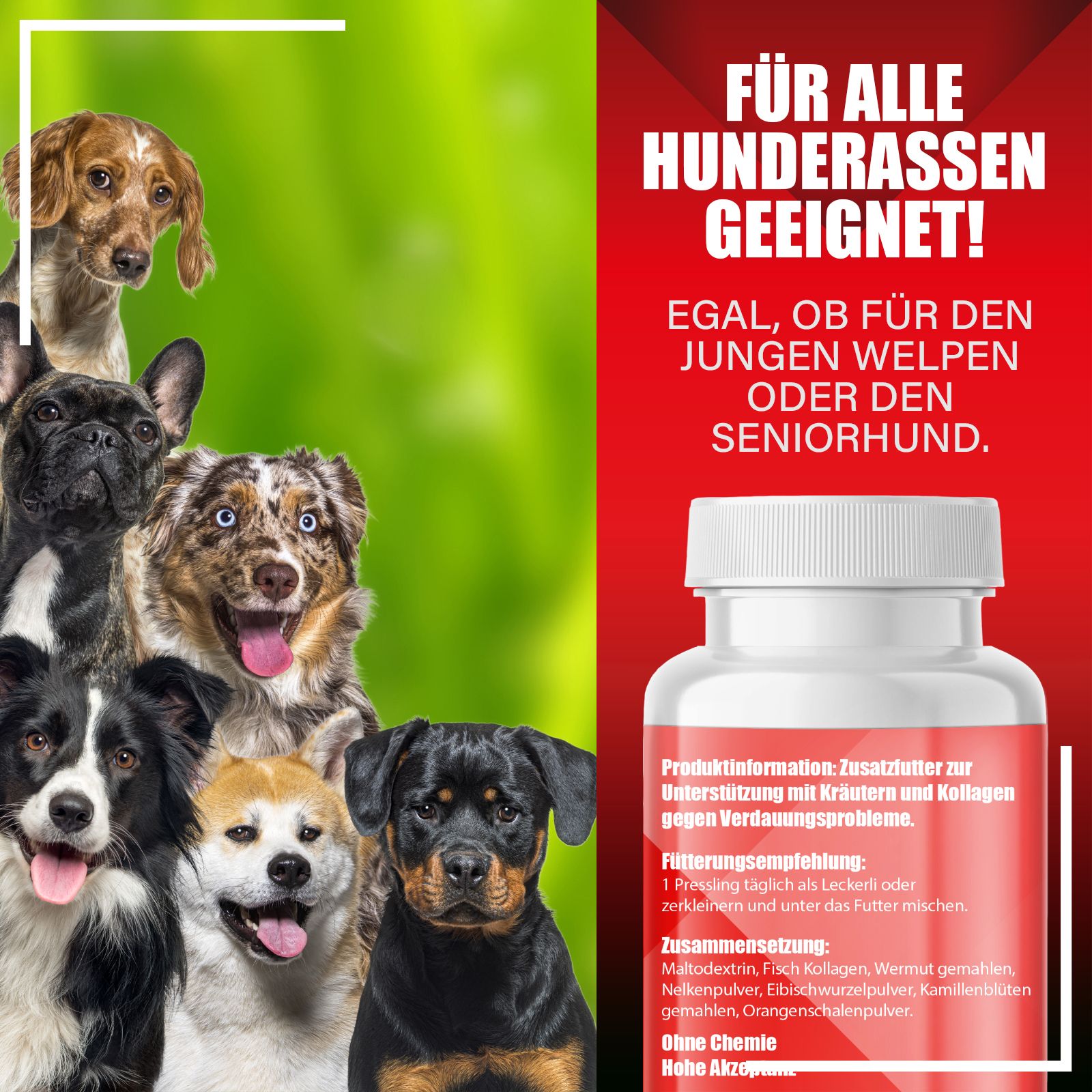 Adema Natural® | Verdauungs-Snack | für Hunde