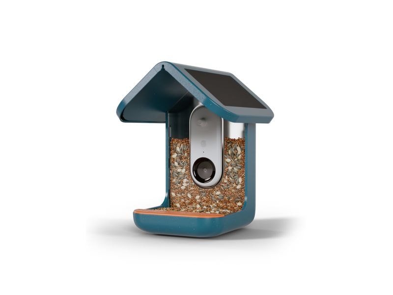 Birdbuddy Futterspender 2.0 mit Solardach und AI Vogelerken Vogelhaus mit integrierter Kamera und Solardach
