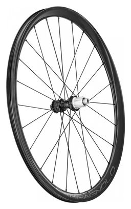 Paire de Roues Campagnolo Levante 700 mm | 12x100 - 12x142 mm | Center Lock | 2022