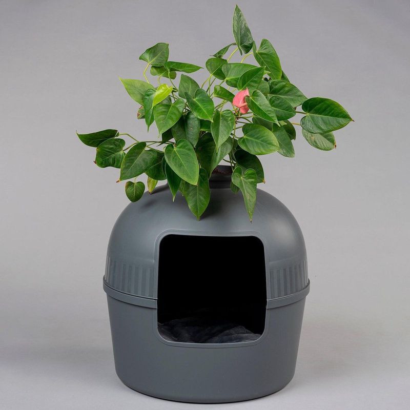 Kattenbak Flower XXL Grijs onzichtbare kattentoilet 51Øx55cm