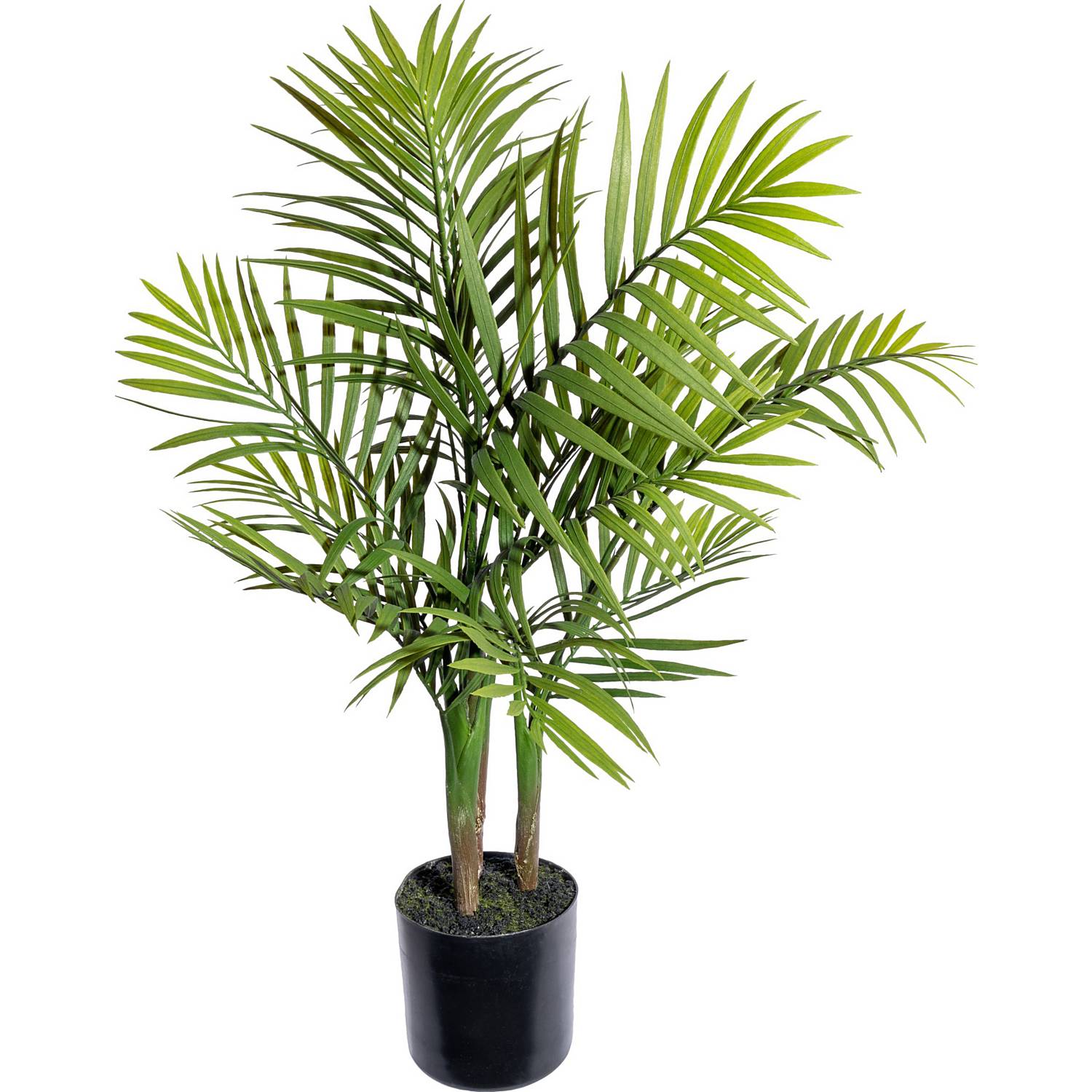 Kunstpflanze Bergpalme