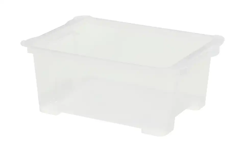 Rotho Aufbewahrungsbox 15,8 cm